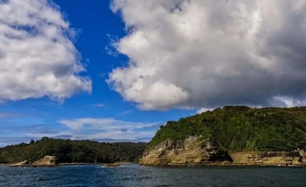 Polémica en Chile por la venta de una isla que es “tierra ancestral” y tesoro de la biodiversidad