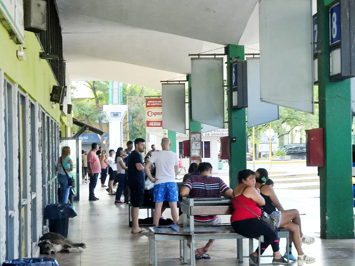 Vacaciones en “bondi”:  la demanda de pasajes en febrero se mantiene