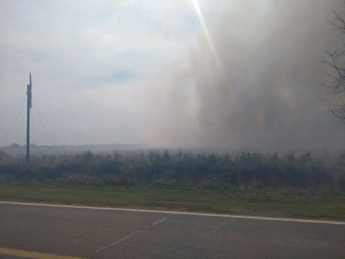 Alerta amarilla por incendios, bomberos trabajan en dos focos.