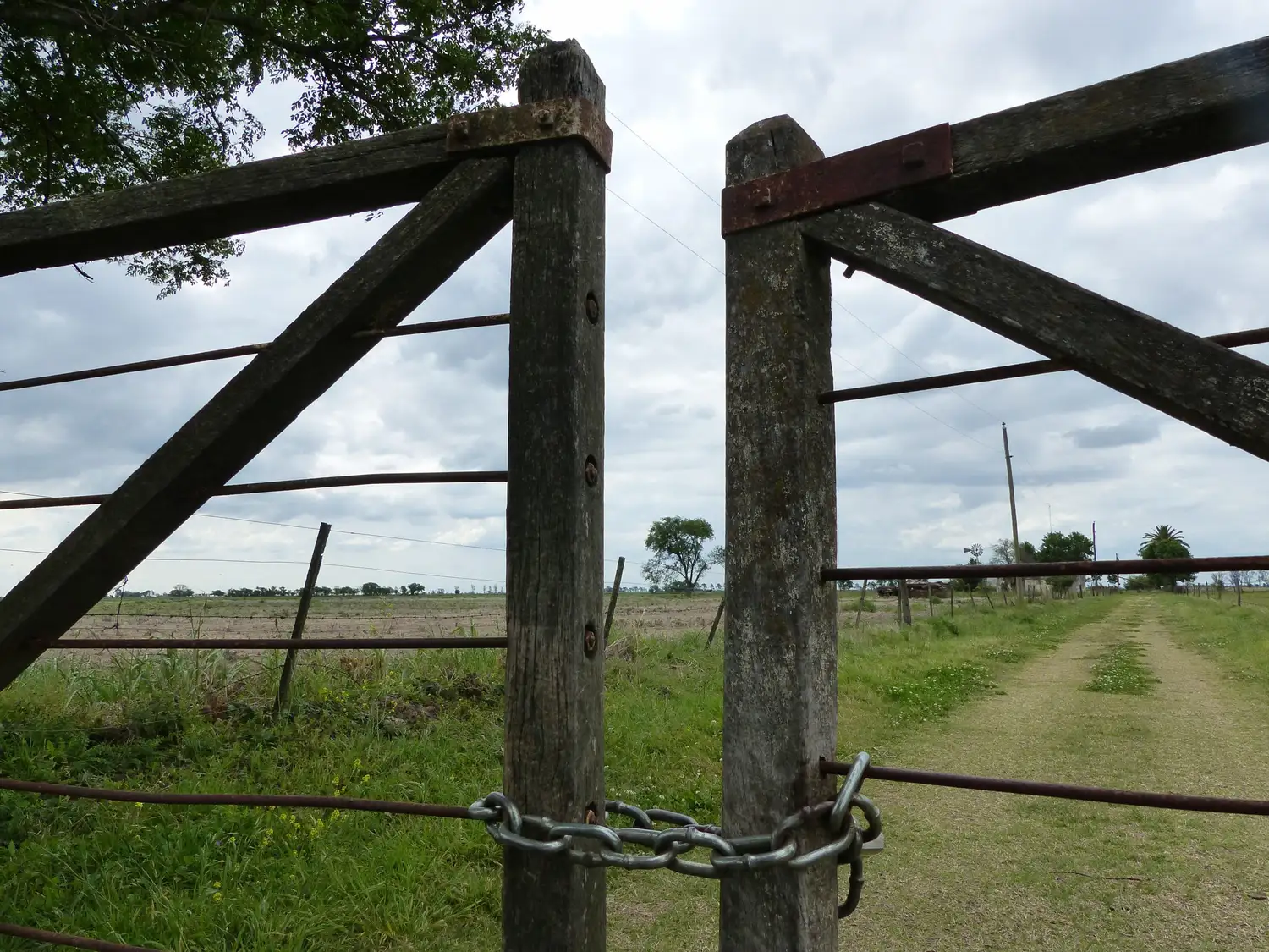 El sector inmobiliario rural experimentó su cuarta suba consecutiva