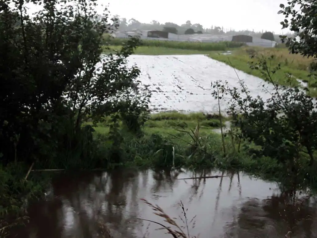 Las lluvias dejaron bajo el agua al cordón frutihortícola