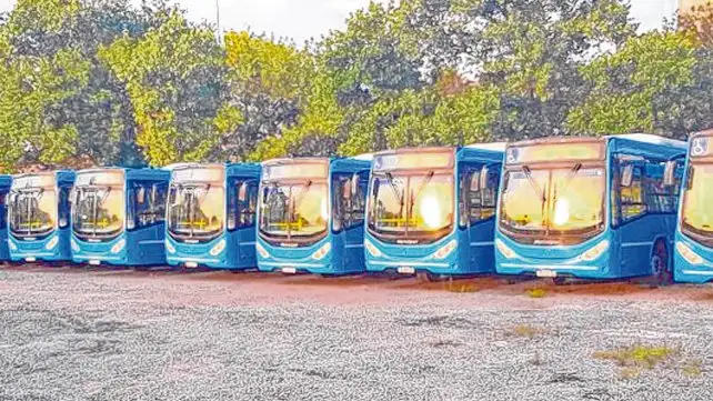 Carrocera de Rosario busca fabricar los ómnibus urbanos del país