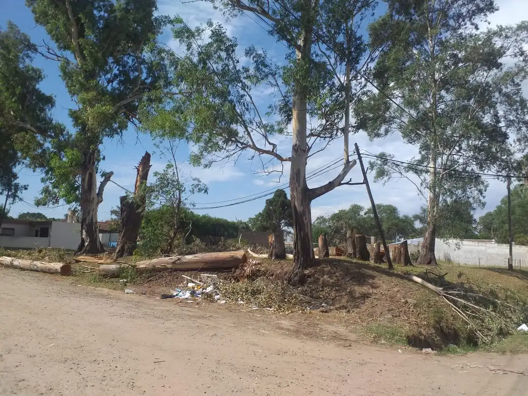 Un santafesino fue detenido en la triple frontera acusado de vender terrenos municipales de Venado Tuerto