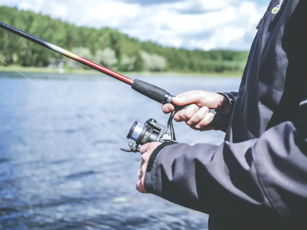 Carnet de caza y pesca: paso a paso cómo tramitarlo