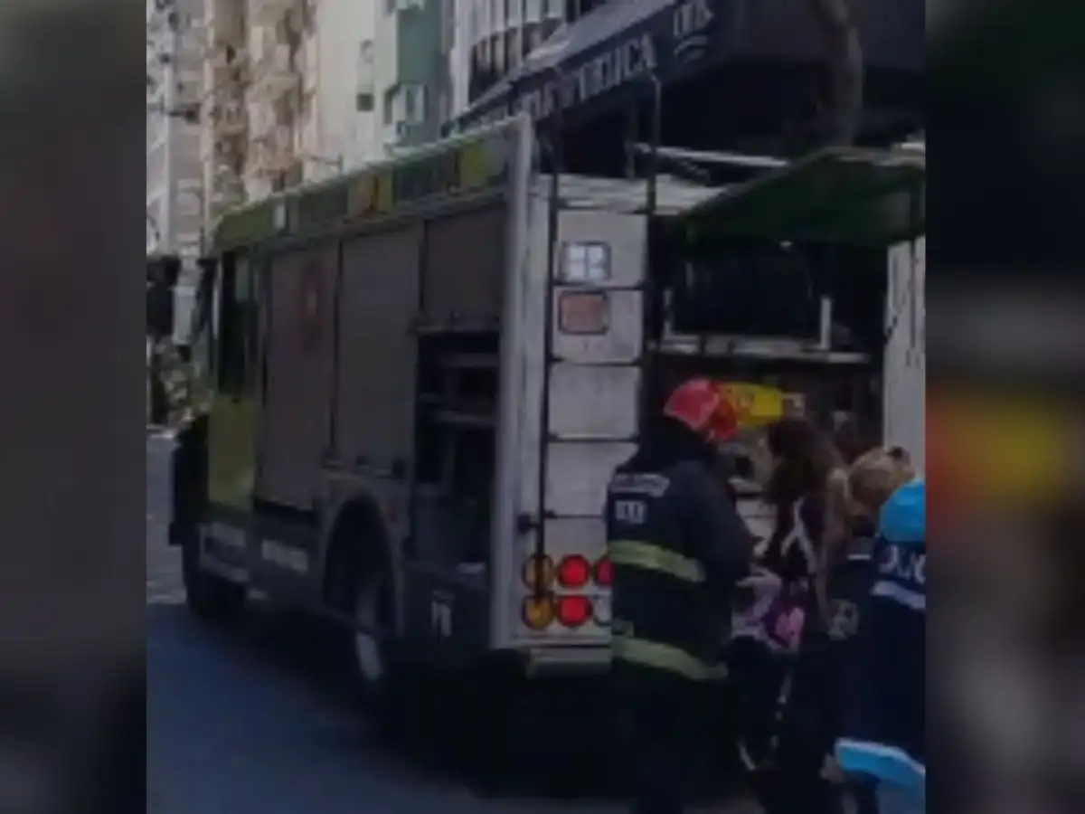 Incendio en la cocina de un departamento: estalló la ventana y los gatos huyeron asustados
