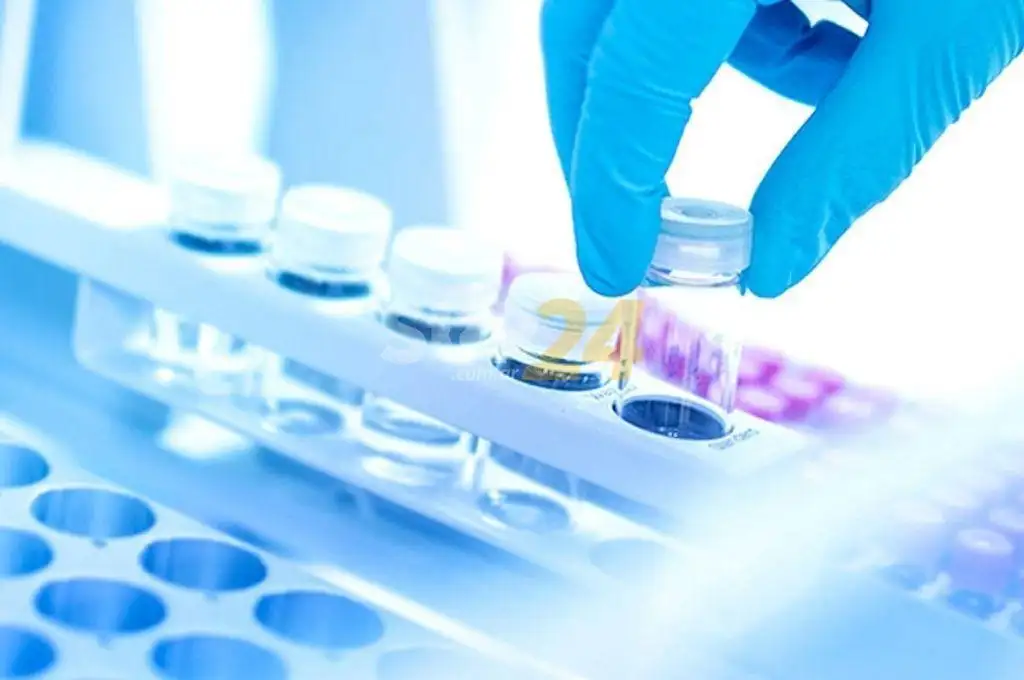 Una empresa argentina producirá a gran escala la proteína clave del coronavirus