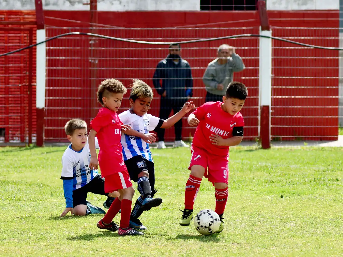 Siguió el Torneo Apertura 