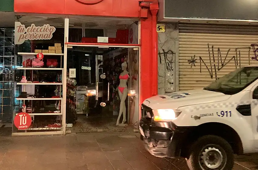 295 bombachas y 7 corpiños, el botín que se llevaban tras romper puerta de lencería céntrica