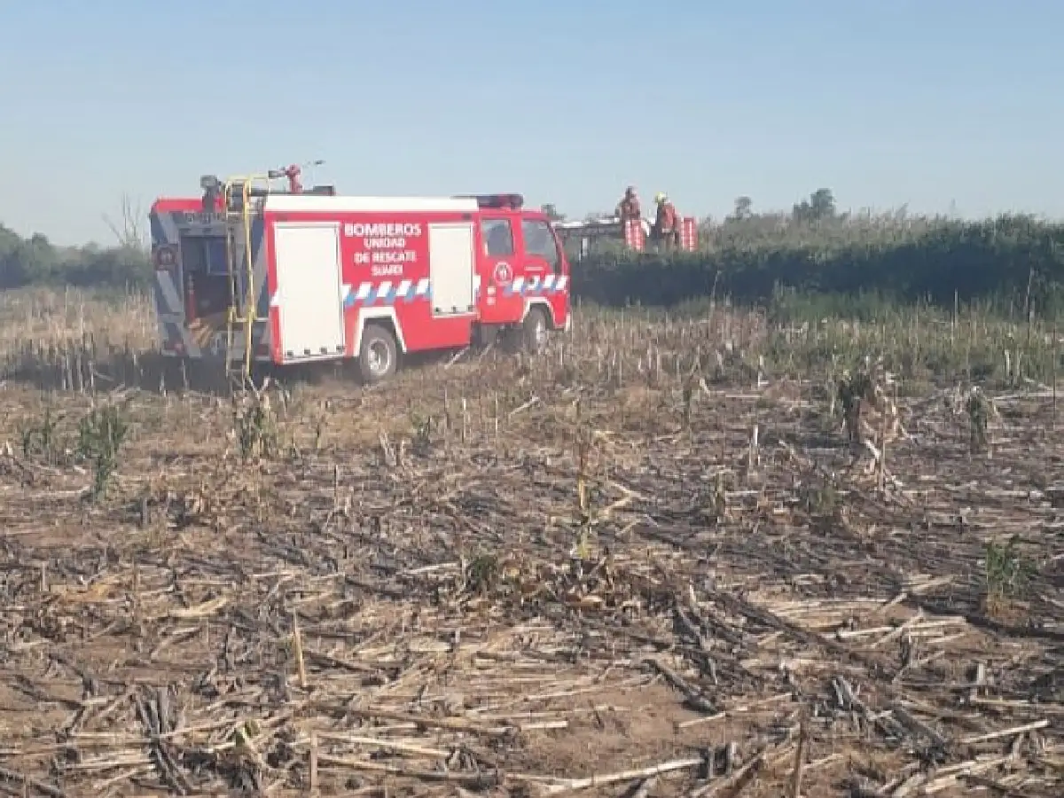 Se incendió un campo en Suardi 