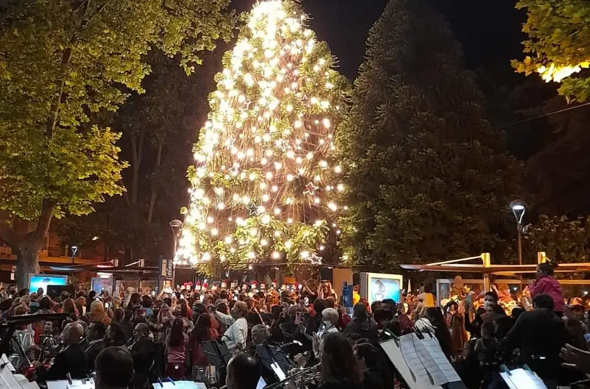 Mar del Plata encendió su árbol de Navidad