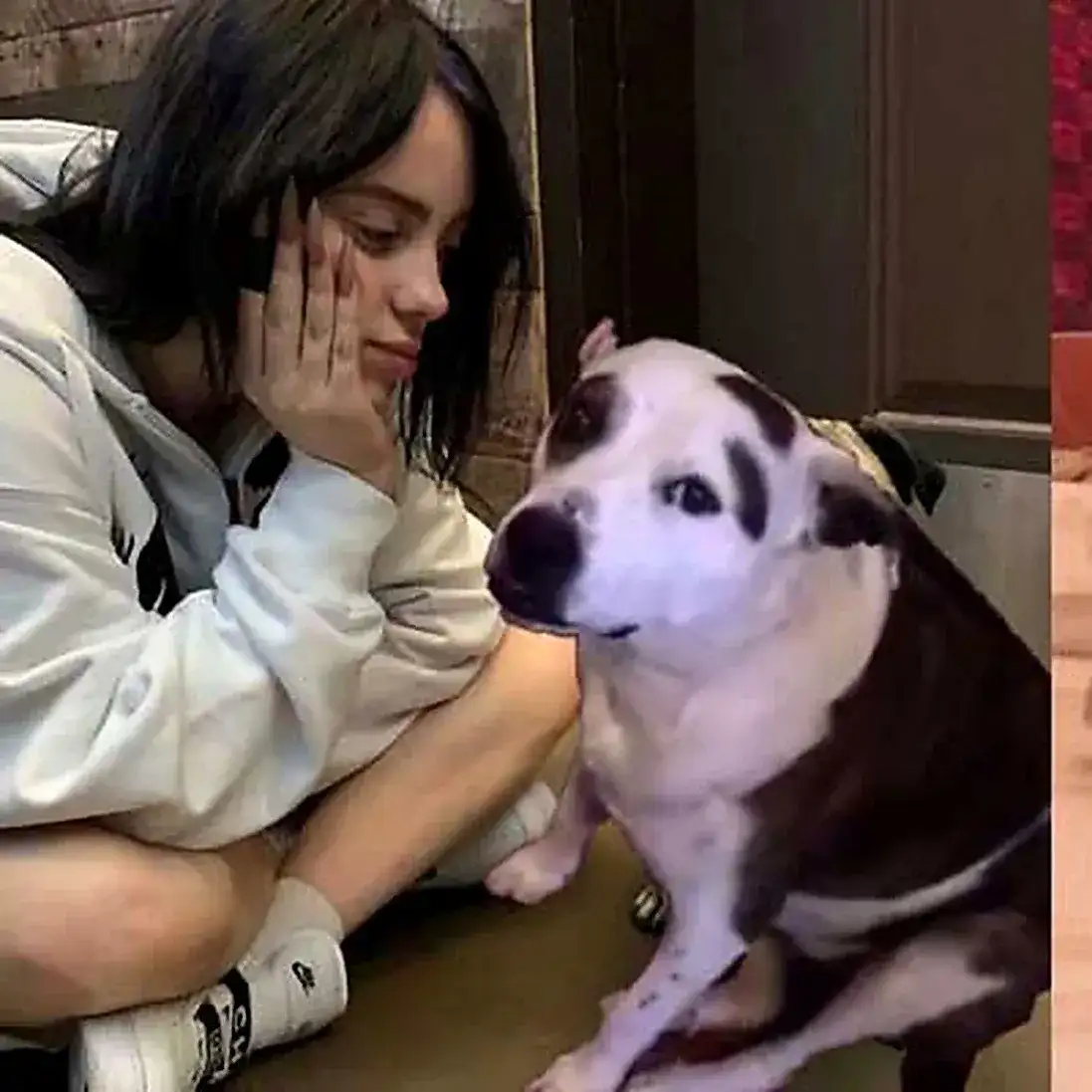 La despedida más dolorosa de Billie Eilish: Pepper, la mascota que la acompañó desde niña