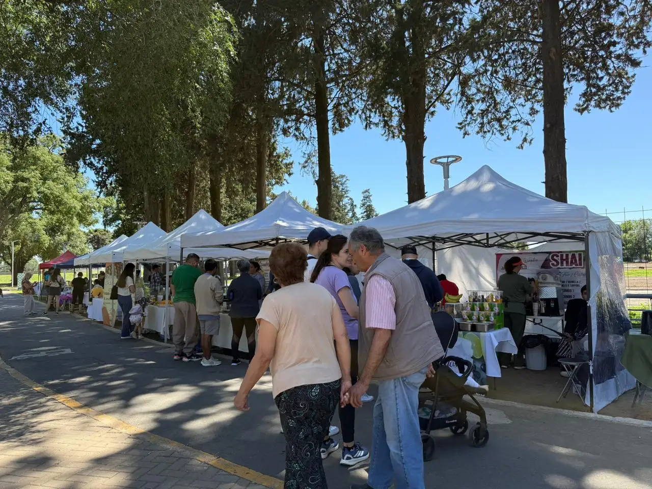 Este domingo, de 10 a 13, en el Parque Municipal General Belgrano se desarrollará una nueva edición de la feria municipal “Venite al Parque”. Foto: Archivo
