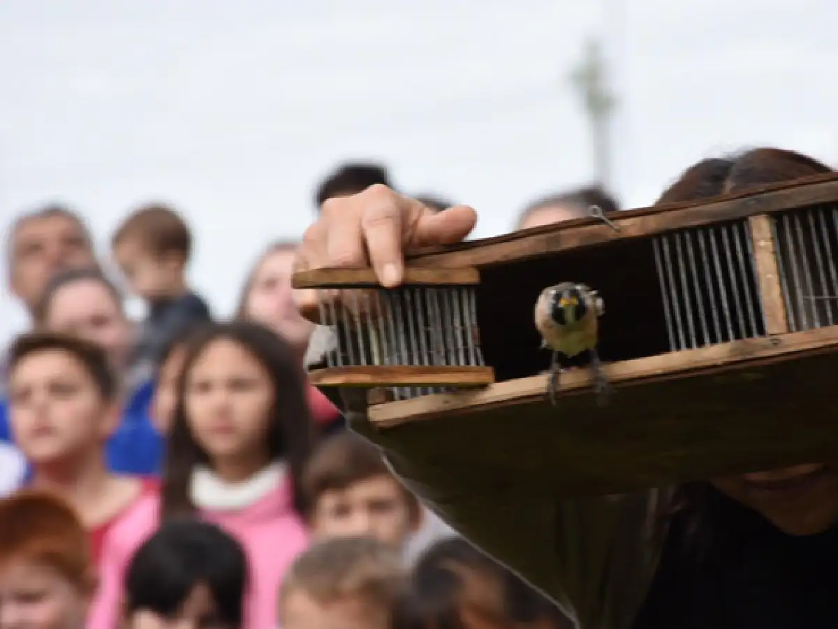 Muestra fotográfica y liberación de aves en Colonia Marina