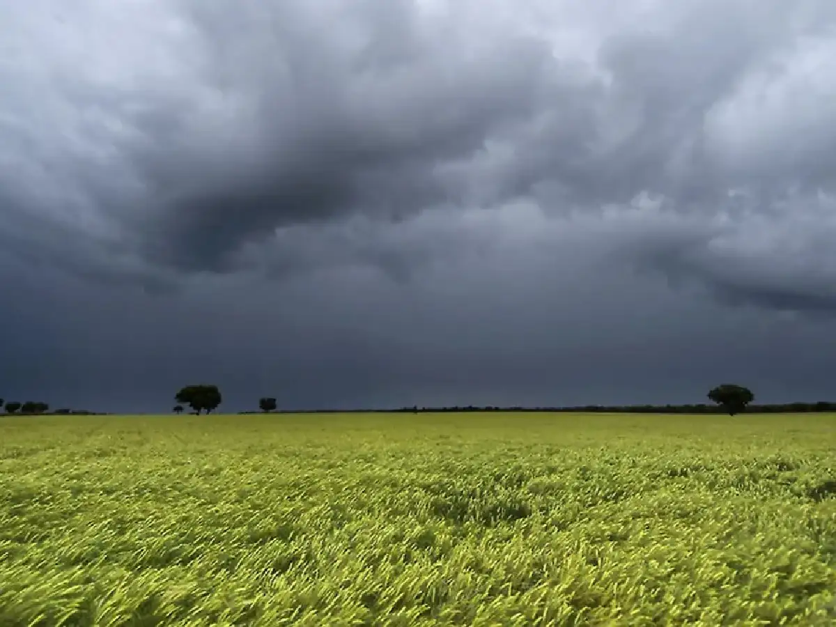 Pronostican que las lluvias abundantes para el campo llegarán en abril y se extenderán en 2024