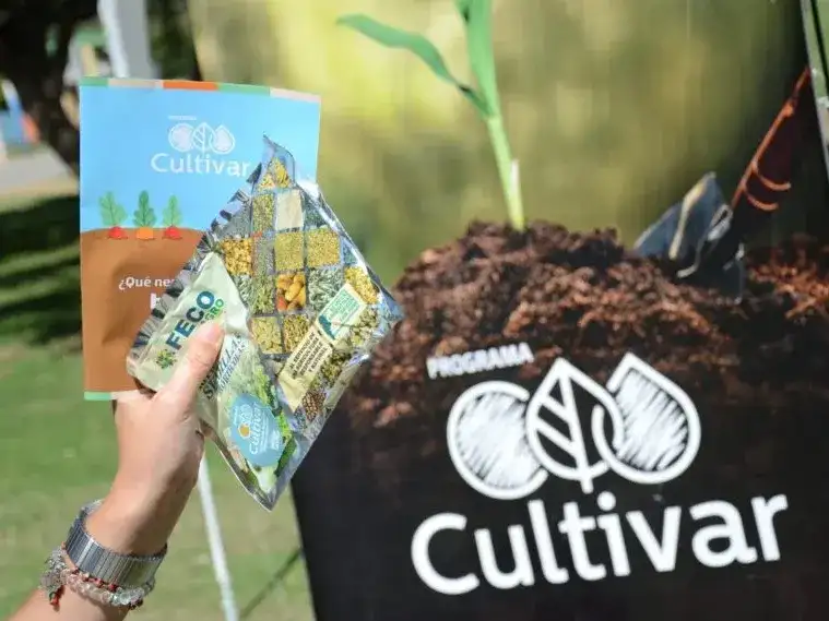 Una mano sostiene folletos y sobres de semillas del Programa Cultivar, iniciativa que promueve la creación de huertas familiares y emprendimientos productivos mediante la entrega de insumos para la temporada de primavera-verano.