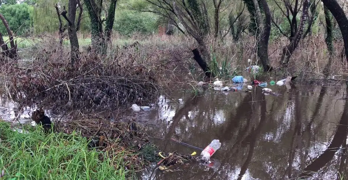 "El mismo problema de tirar basura en la calle, lo tenemos en los arroyos"