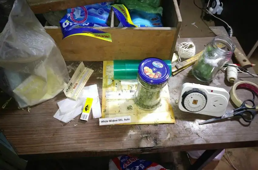 Cayó otro narco: intentó ingresar marihuana al país por el correo