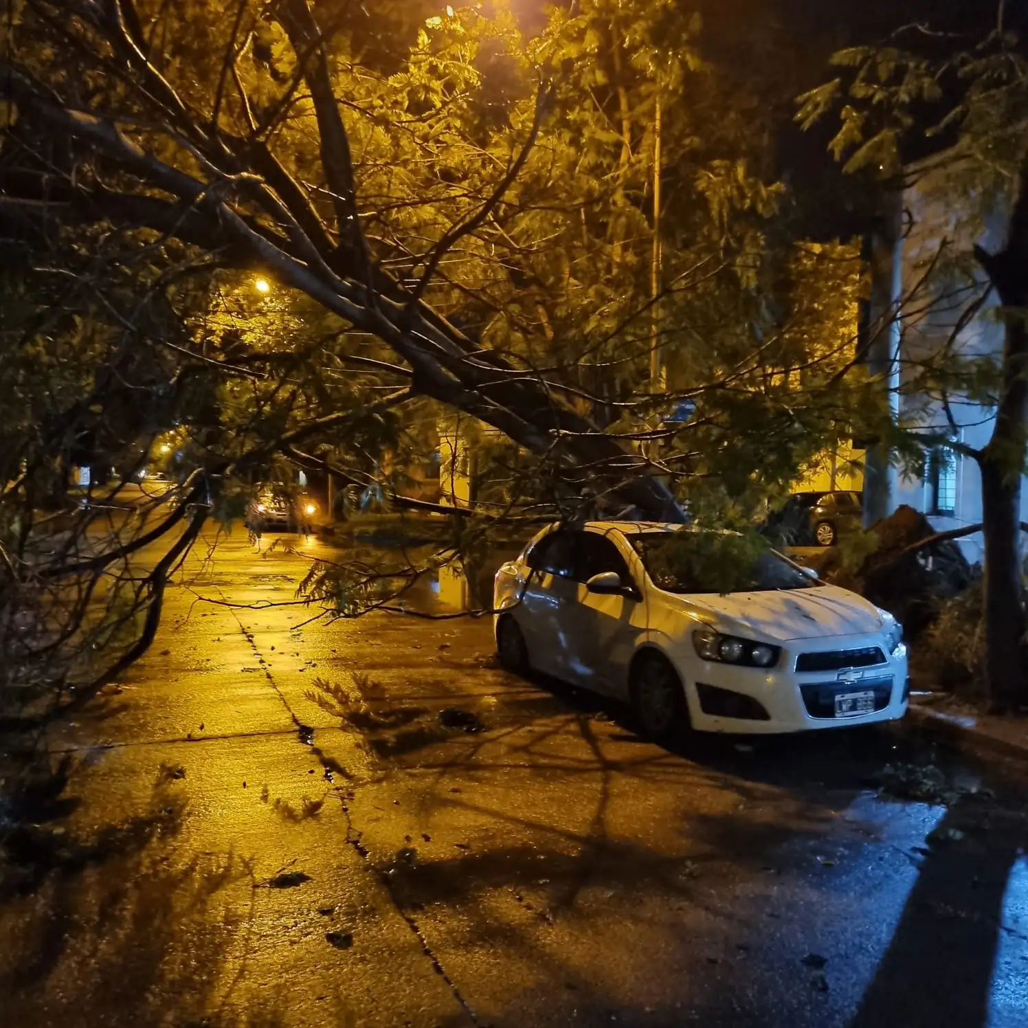 temporal en san francisco