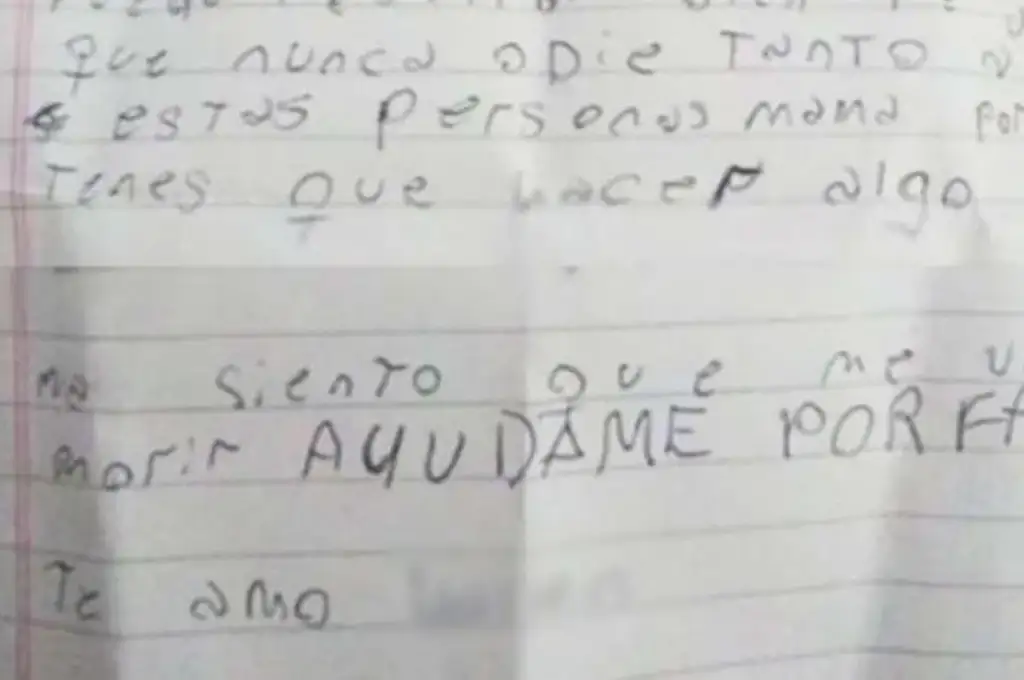 El desesperado pedido de ayuda de una nena de 12 años que sufre bullying