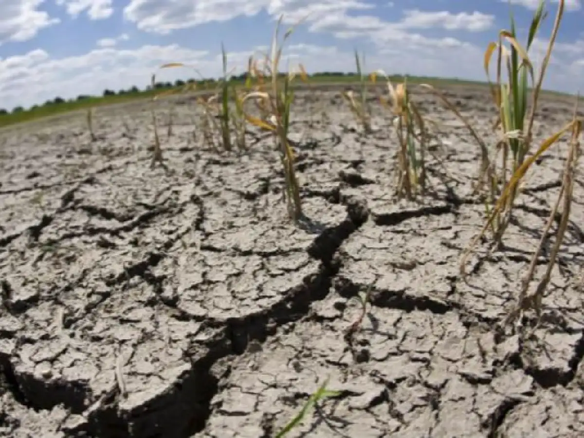 Dramática advertencia sobre cambio climático