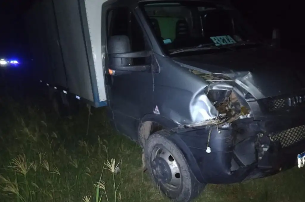 Animales sueltos en la ruta provincial 2: dos vacunos fueron embestidos por un camión
