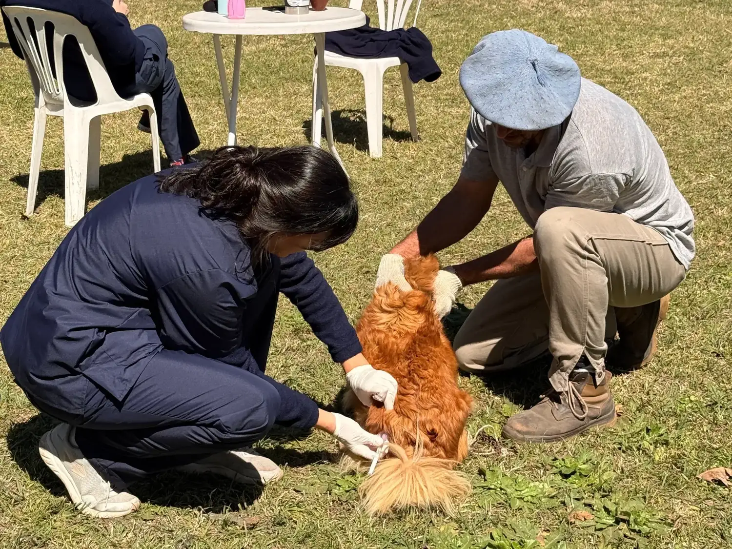 "Orejas Verdes" sumó mas de 80 prestaciones de salud animal en el Tiro Federal