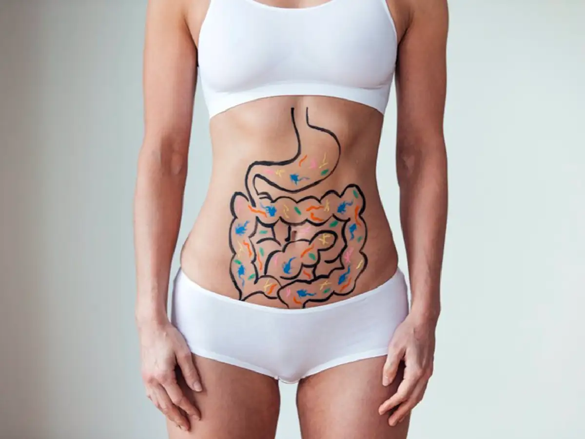 La salud empieza en el  Intestino: cómo mantener equilibrada la microbiota 
