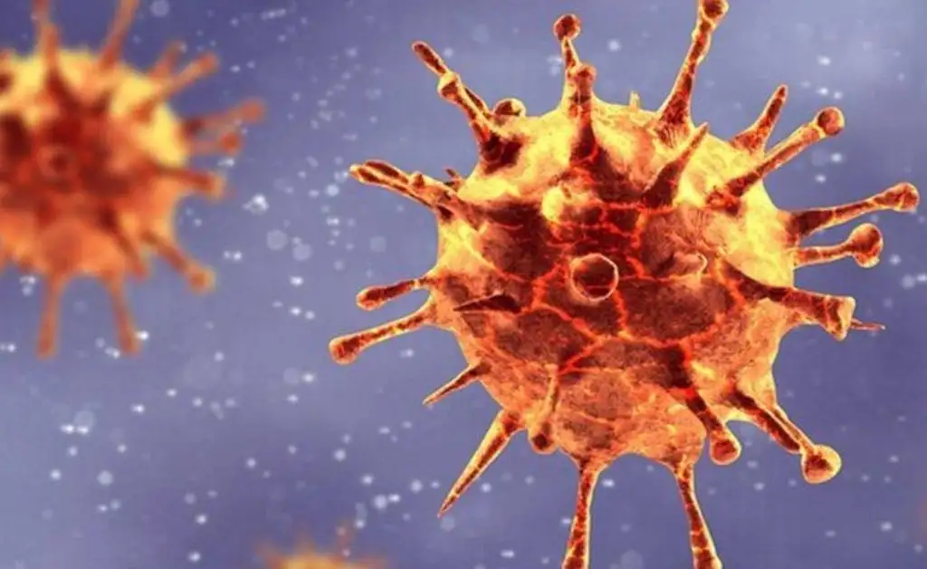 Qué se sabe sobre la nueva cepa del coronavirus