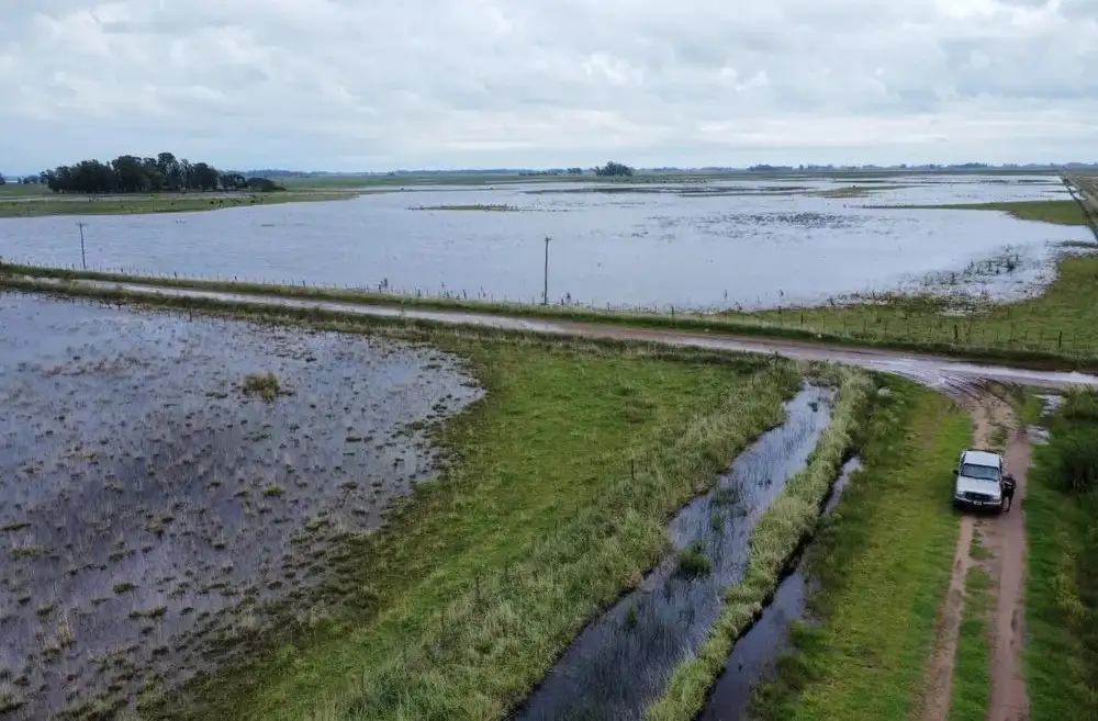 Inundaciones: la Provincia prorrogó la emergencia agropecuaria en más de diez distritos