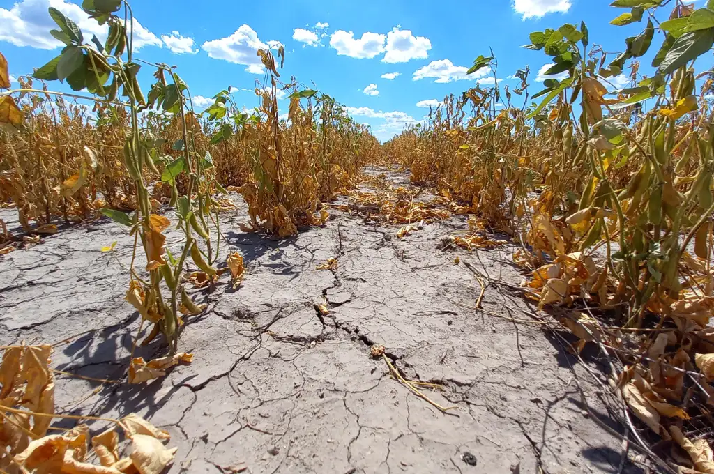 Extienden la fecha de presentación de solicitudes para acceder a los beneficios de la Emergencia Agropecuaria