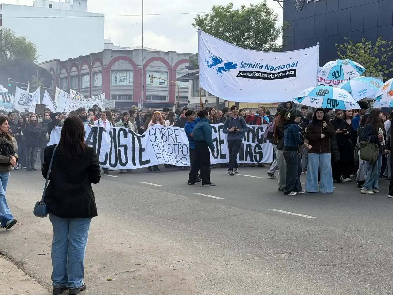 Doce cuadras fue la extensión de la movilización por las calles de Mar del Plata.