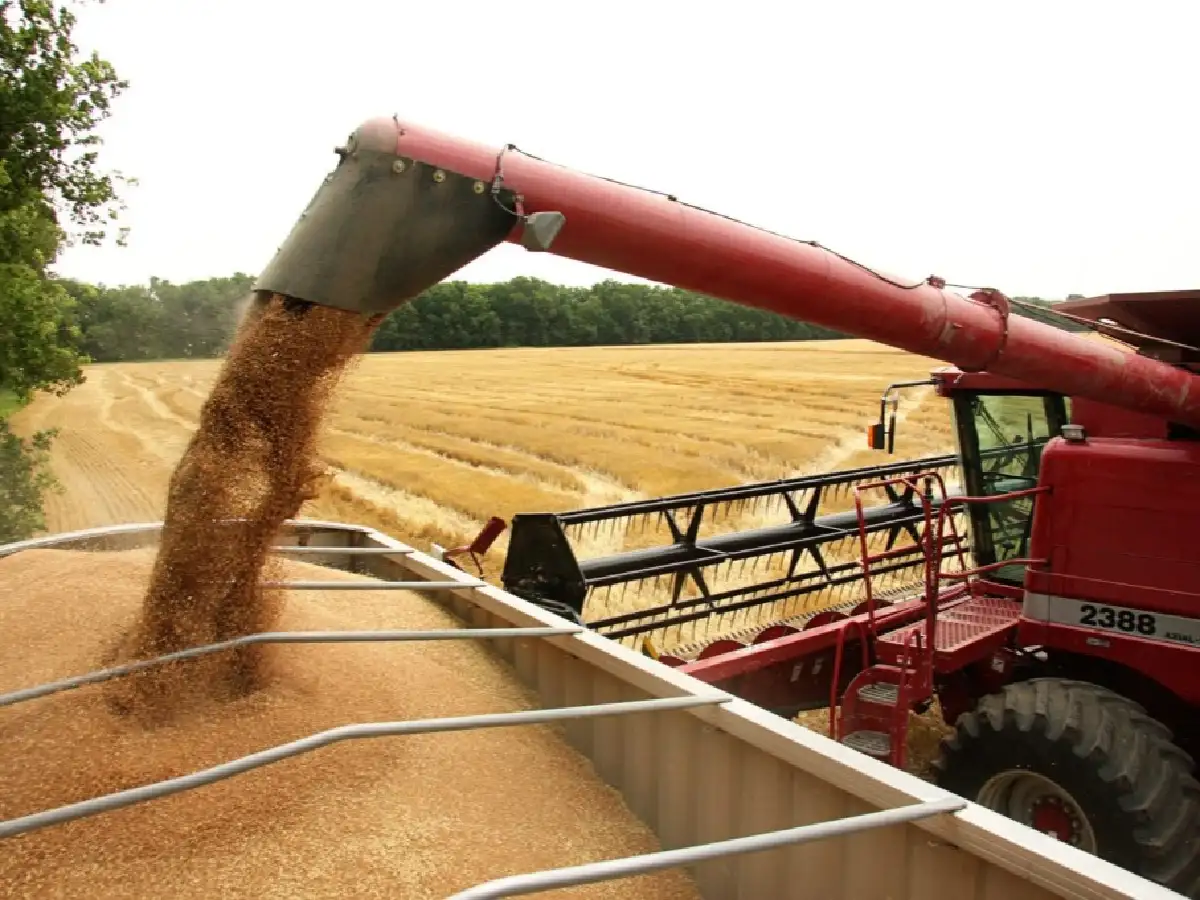 Nueva puja con Brasil: Bolsonaro abre la importación de trigo y complica a productores argentinos
