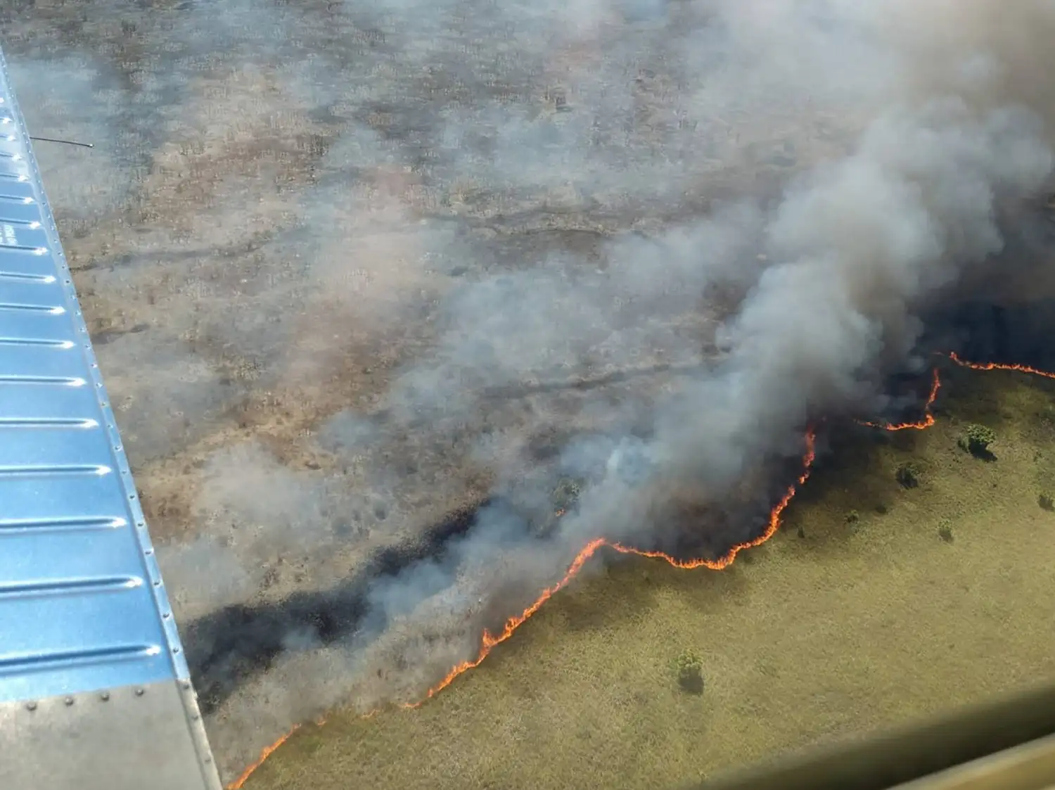 México: los incendios amenazan las selvas del sur