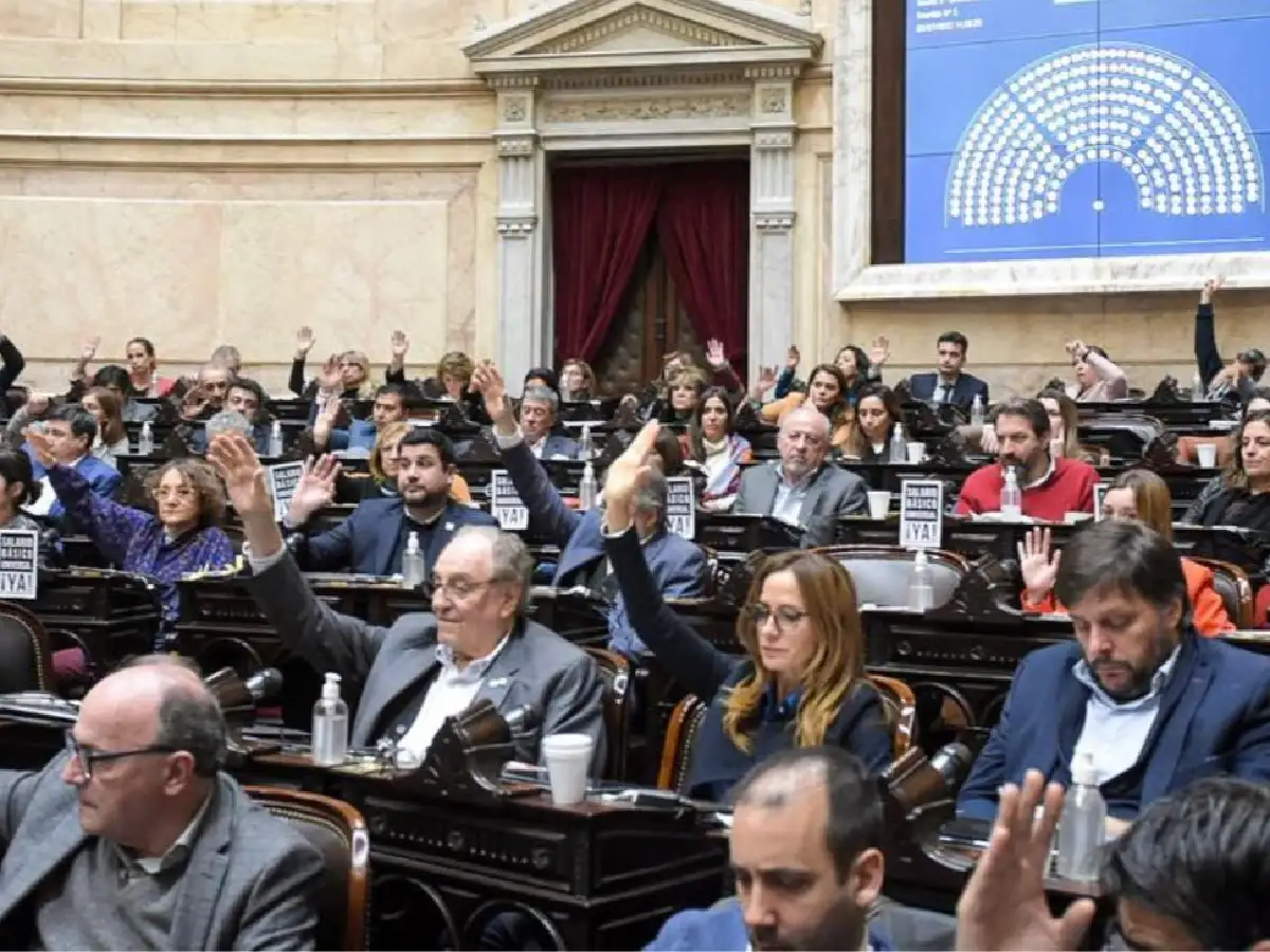 Diputados del Frente de Todos denuncian "maniobras de neto corte golpista" por la "brutal" suba del dólar