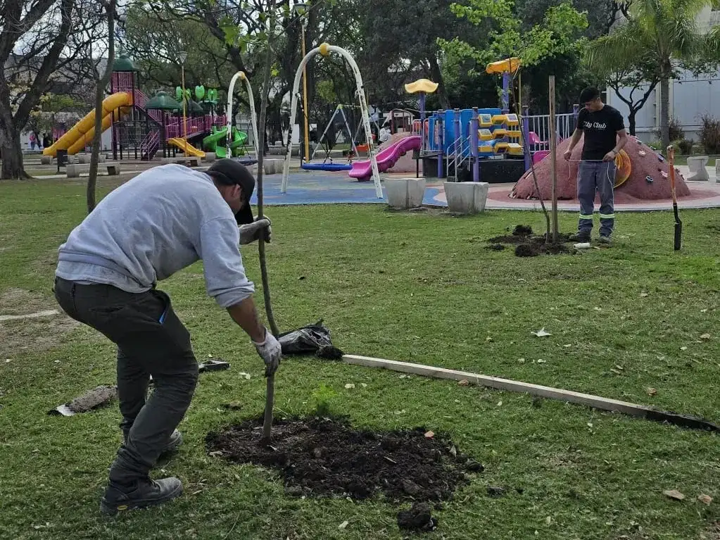 San Francisco suma nuevos árboles en plazas, bulevares y espacios públicos
