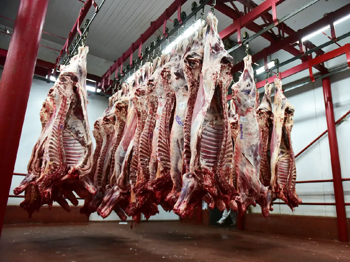 Prorrogaron el cepo a la carne hasta el 31 de octubre