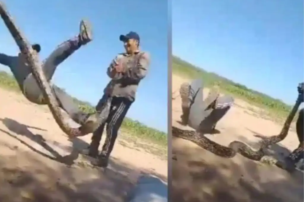 Grave denuncia de crueldad animal