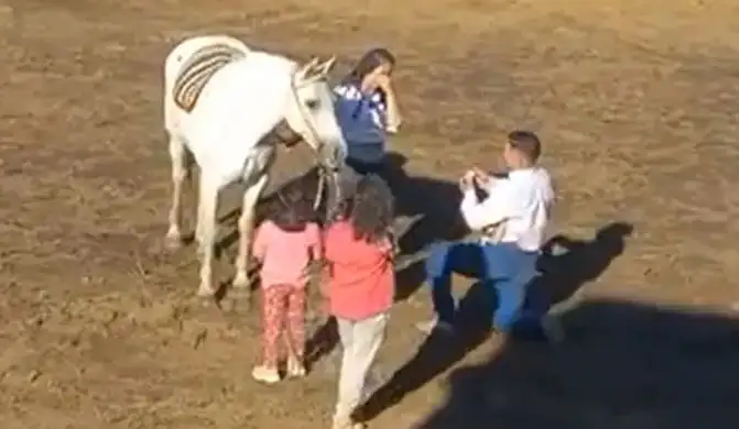 Video: se le declaró a su novia jinete en plena doma y se hizo viral