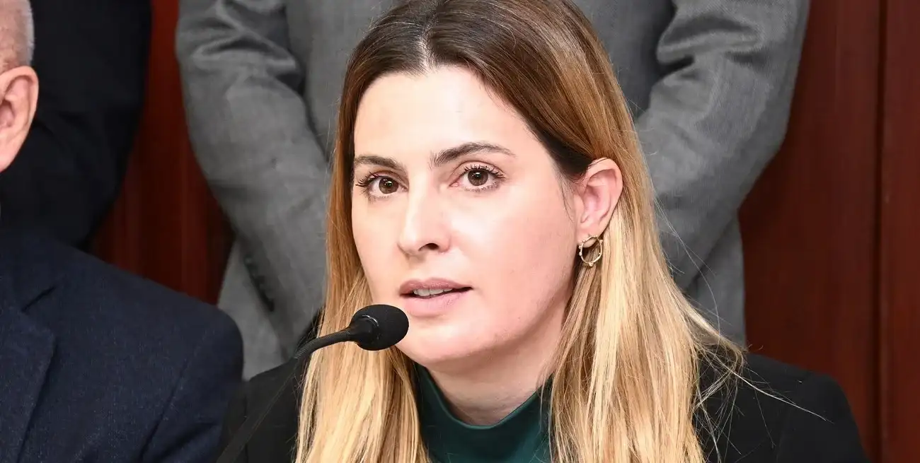 Cattalini, presidenta de Asuntos Constitucionales de Diputados.
