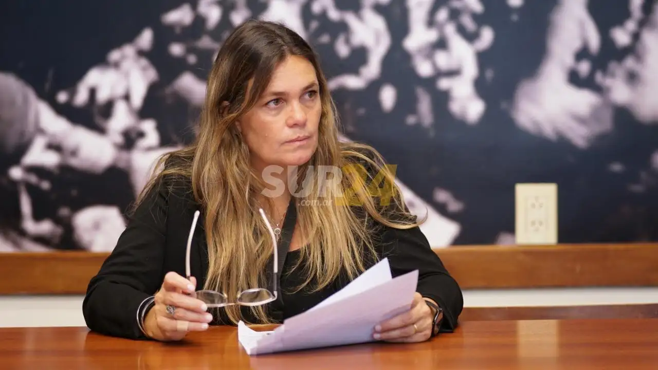 Di Stefano solicita que la Provincia de detalles de lo anunciado sobre Educación