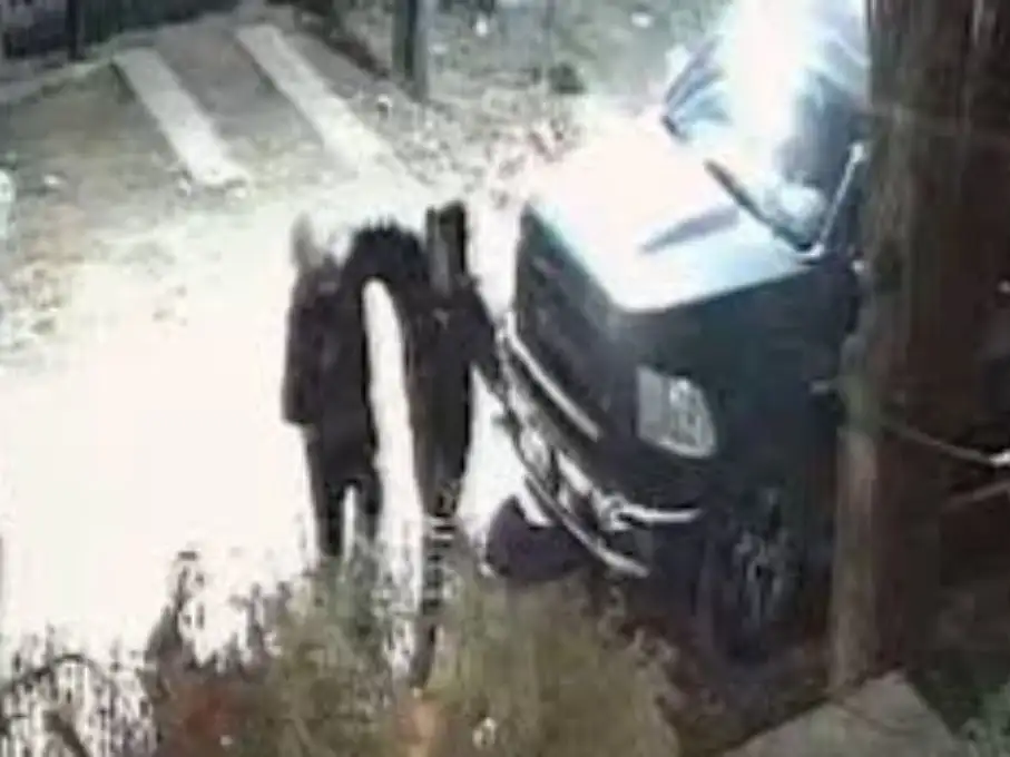 El guarda espaldas neutralizo al ladrón de un solo golpe
