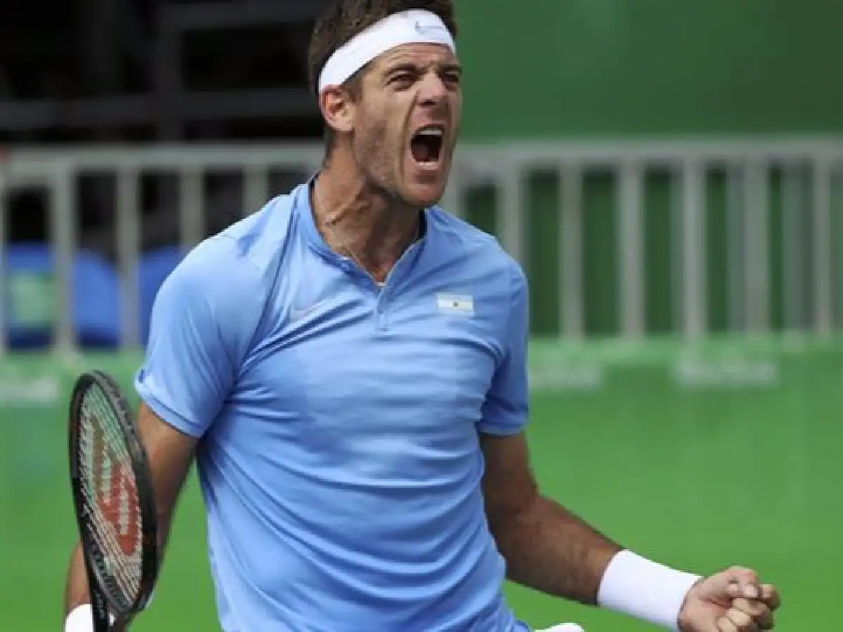 Del Potro jugará el torneo de Lyon 