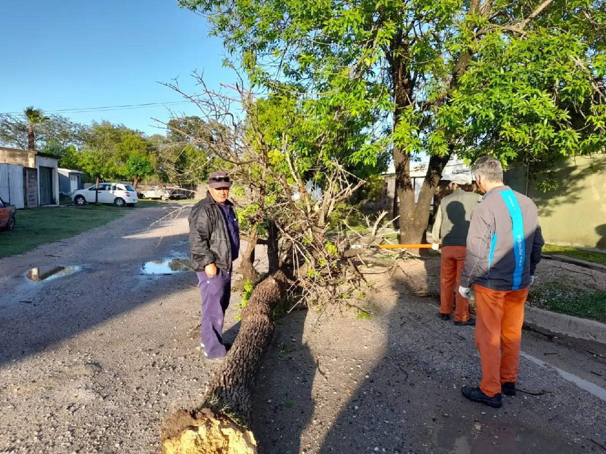 Arroyito: municipio trabaja para  reparar los daños de la tormenta 