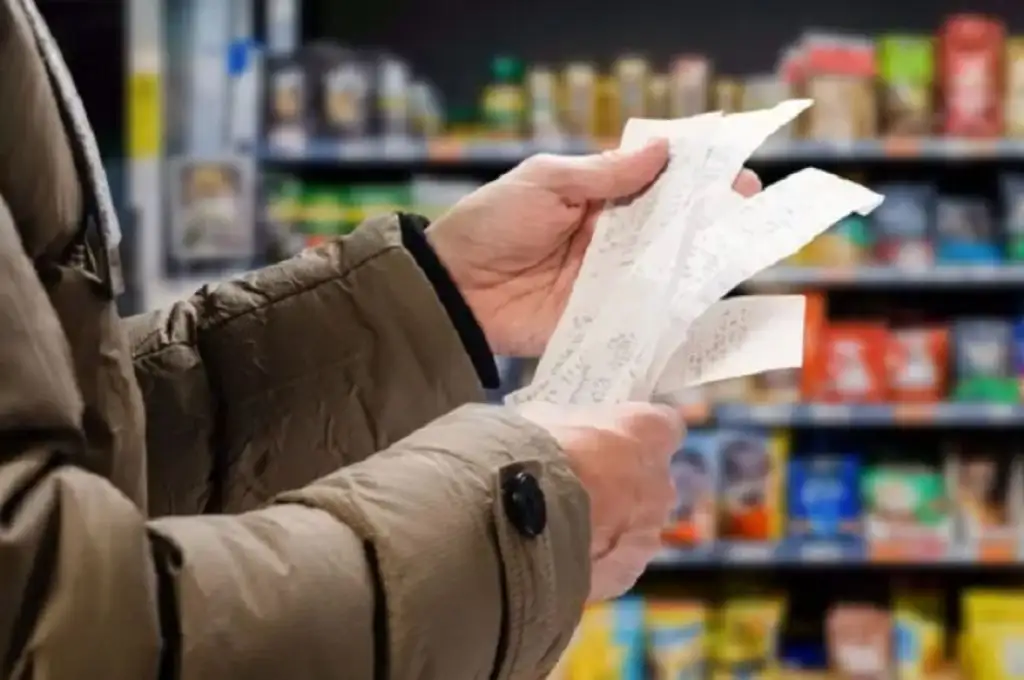 La canasta básica trepó por encima del 100% en 2022