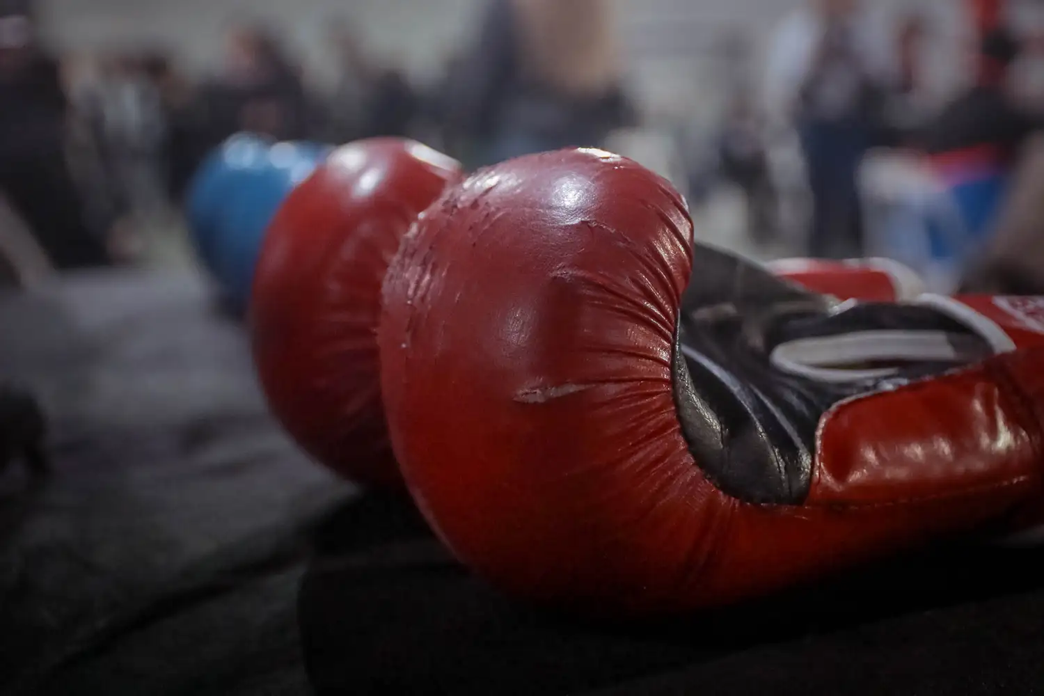 El boxeo amateur volverá al ruedo.