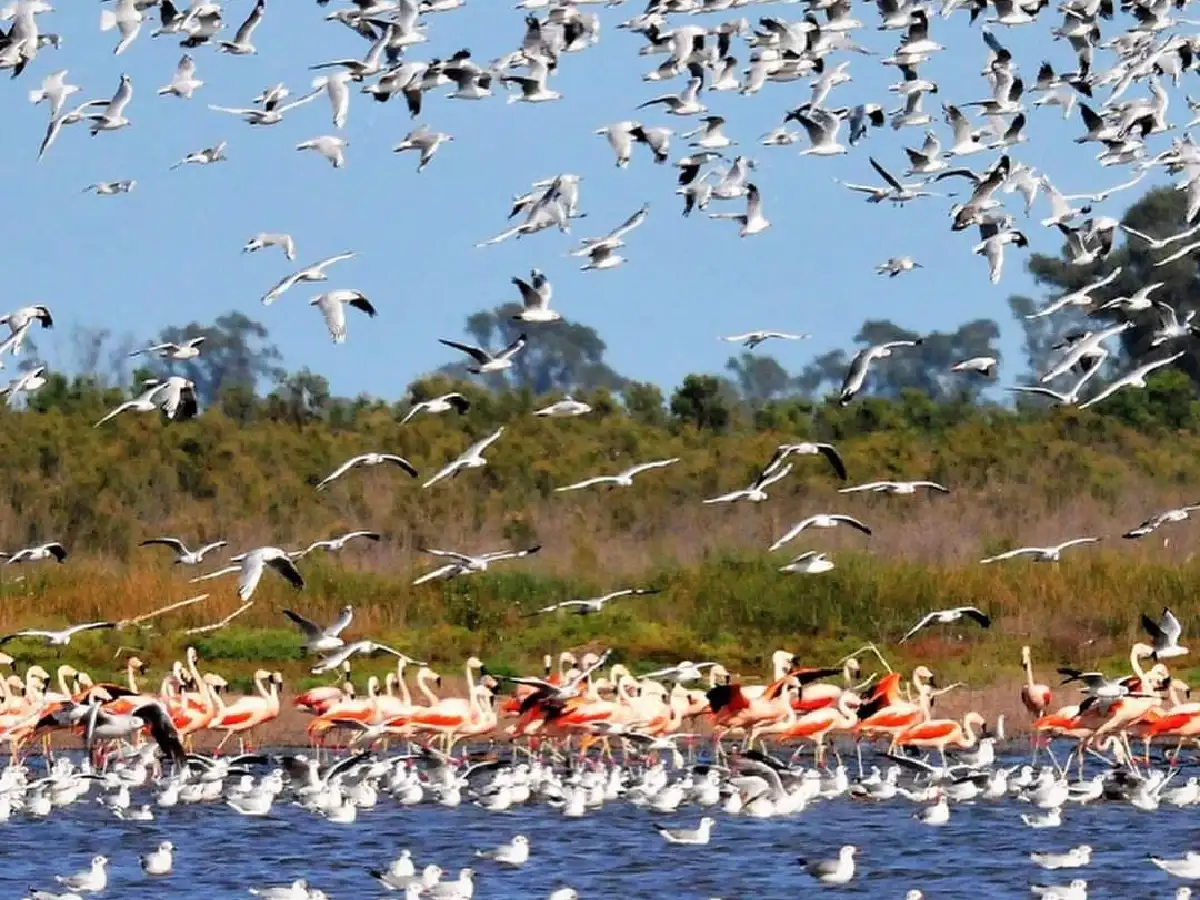 Ansenuza es Parque Nacional