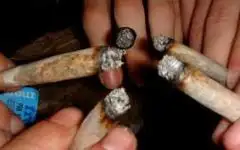 Confirman que la marihuana deteriora la capacidad cerebral