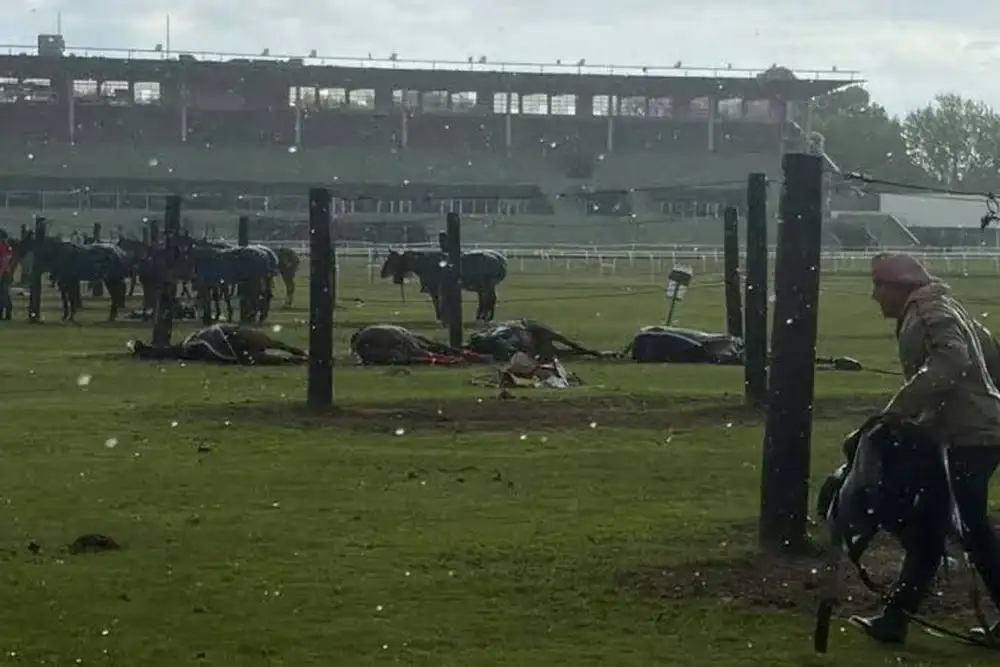 El predio funciona dentro del lugar donde se encuentra el Hipódromo de San Isidro.