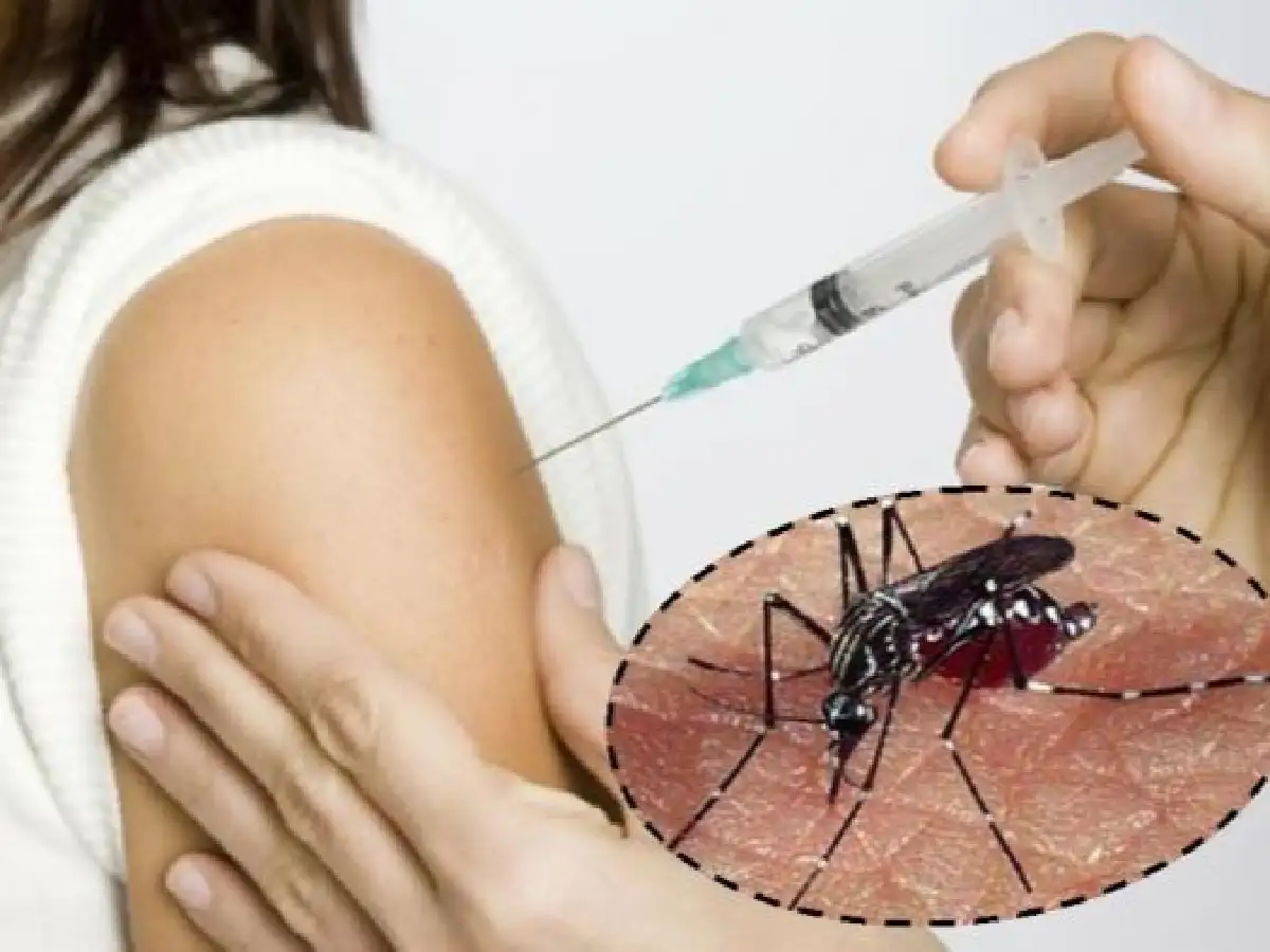 La Anmat aprobó el uso de una vacuna contra el dengue para mayores de 4 años