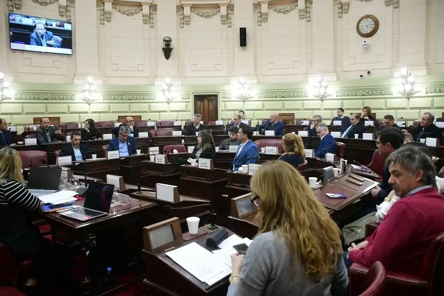 comision reformadora